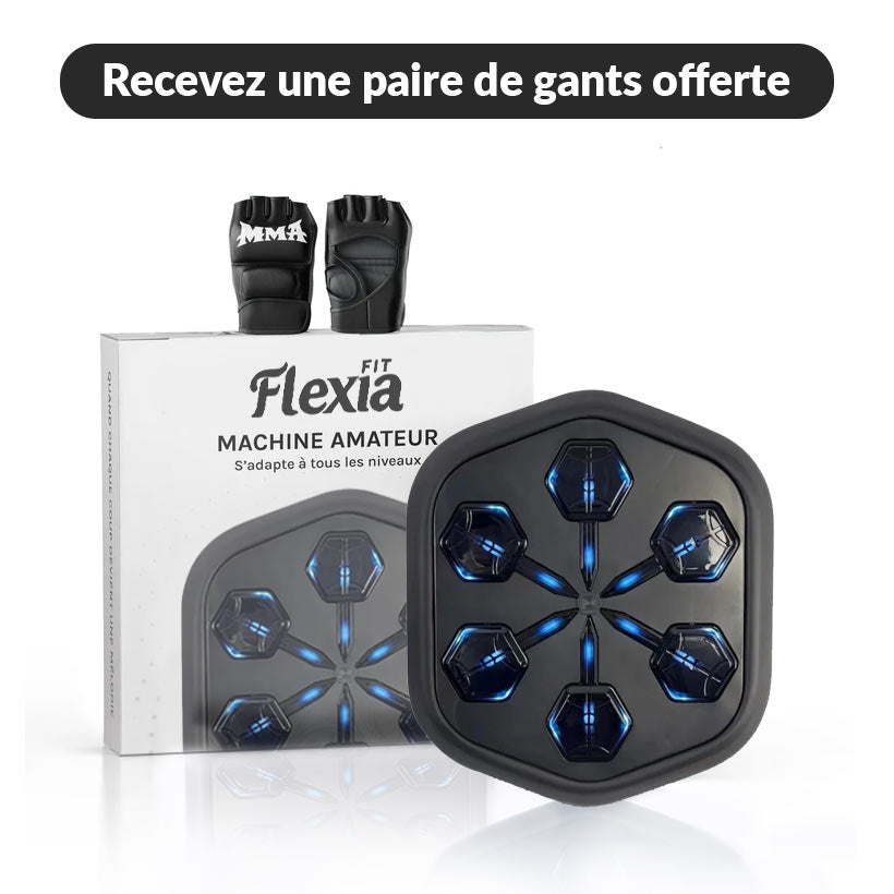 MACHINE-DE-BOXE-INTELLIGENTE